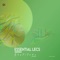 Gratitude - Essential Lecs lyrics