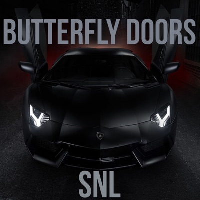 Butterfly Doors - Single