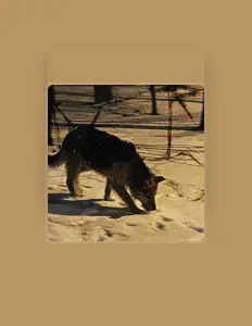 Jersay을(를) 듣고, 뮤직 비디오를 보고, 약력을 읽고, 투어 일정 등을 확인하세요!