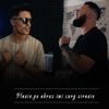 Ploaie, pe obraz imi curg siroaie (feat. Bubu Pustanu & Shonny Andres) - Single