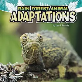 Rain Forest Animal Adaptations: Amazing Animal Adaptations (Unabridged)