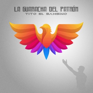 La Guaracha Del Patrón