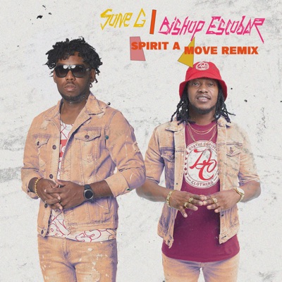 Spirit a Move (Remix) - Single