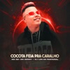 Cocota feia pra caralho (feat. MC Denny & Mc G3) - Single