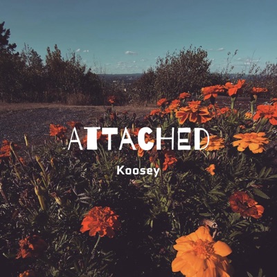 Attached - Single