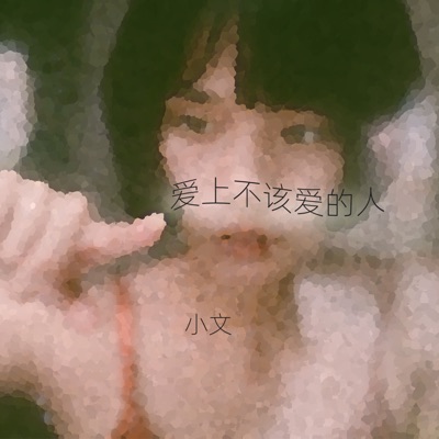 愛上不該愛的人 - Single