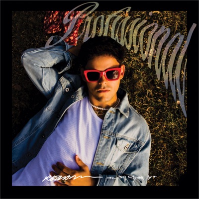 Profissional - Single