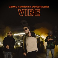 VIBE - Single - ZBUKU, Shellerini & Donguralesko