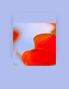 Akanemoyuを聴いたり、ミュージックビデオを鑑賞したり、経歴やツアー日程などを確認したりしましょう！