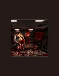 ROTTEN HEADS MX을(를) 듣고, 뮤직 비디오를 보고, 약력을 읽고, 투어 일정 등을 확인하세요!