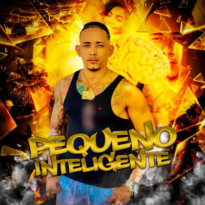 Pequeno Inteligente - Single