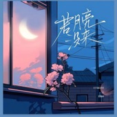 若月亮没来 (DJ阿卓版) artwork