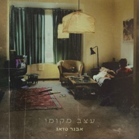 עצב מקומי - Single - אבנר טואג