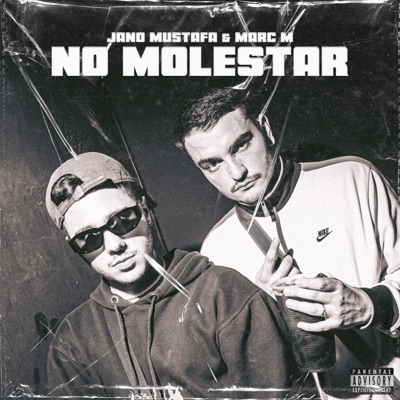 No Molestar - Single