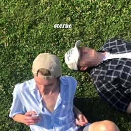 Sterne (feat. flo) ROY the Cozy