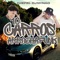 10 Carros-chefin-djnynaoRemix (Arrocha funk) artwork