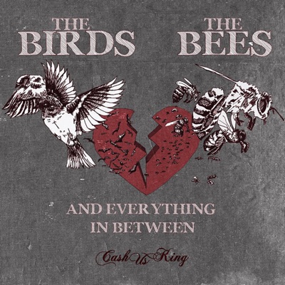 The Birds, The Bees and Everything In Between
