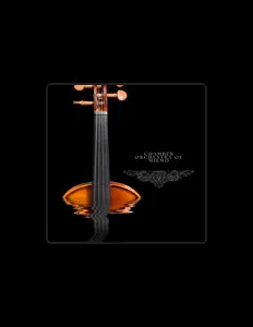 Écoutez Chamber Orchestra of Miemo, regardez des vidéoclips, lisez la biographie, consultez les dates de tournée et plus encore !