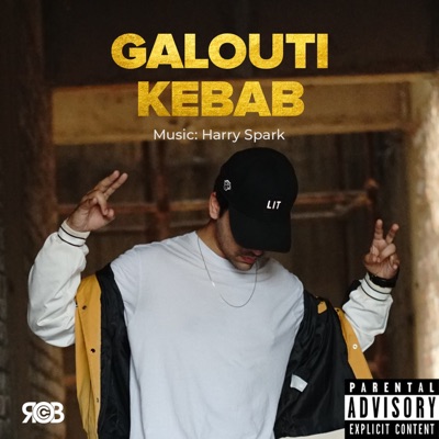 Galouti Kebab - Single