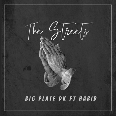 The Streets (feat. OMF Habib) - Single