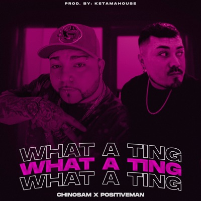 What a Ting (feat. Positiveman) - Single
