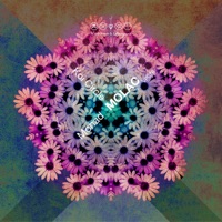 Koi Circle / Monad - Single - Molac