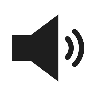 Audio Original - Woskle One