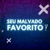 Seu Malvado Favorito - Single