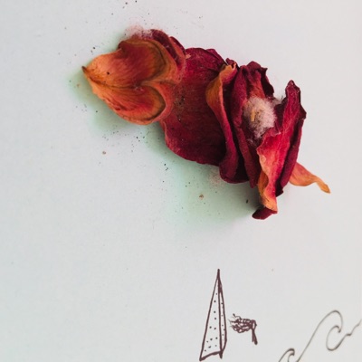 Amelita Amerita - Single