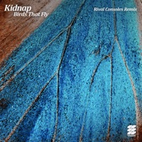Birds That Fly (Rival Consoles Remix) - Single - Kidnap