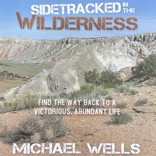 Sidetracked in the Wilderness: Find the Way Back to a Victorious, Abundant Life (Unabridged) cover