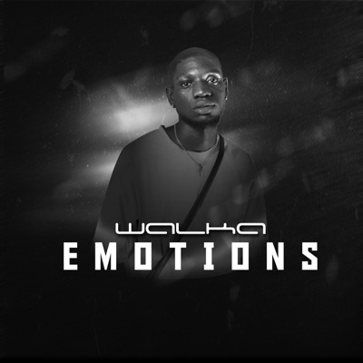 Emotions (feat. Danny EC Beats) - Single