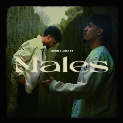 MALES (feat. AISSA SG) - Single