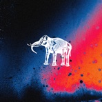 Elephant Sessions