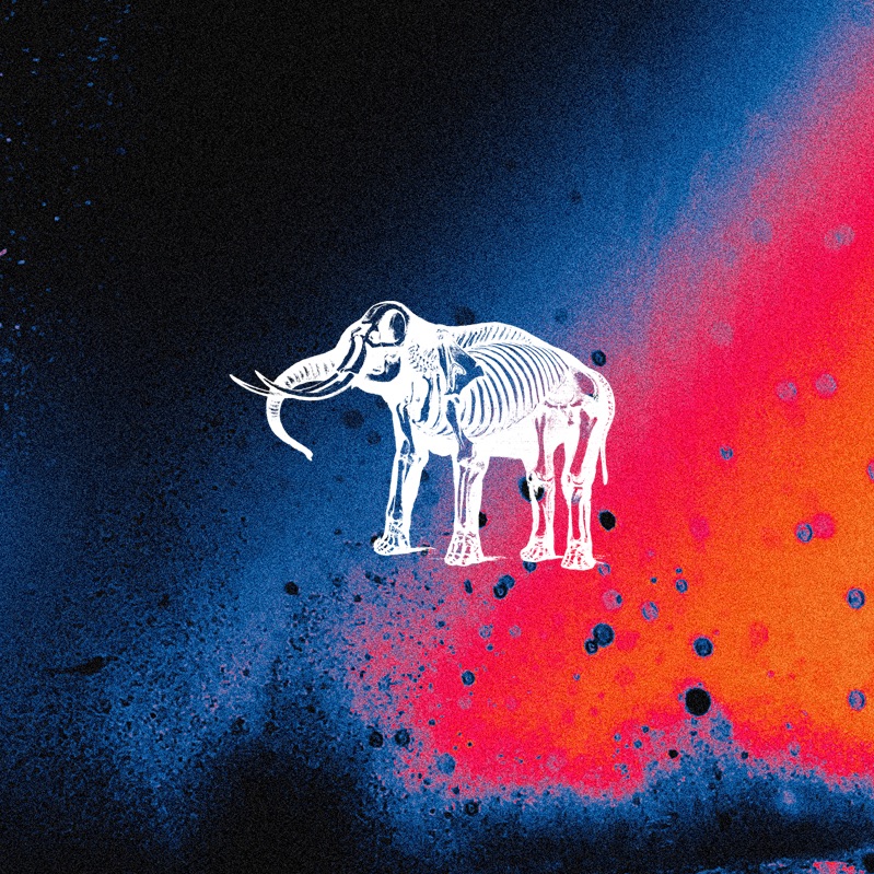 Elephant Sessions