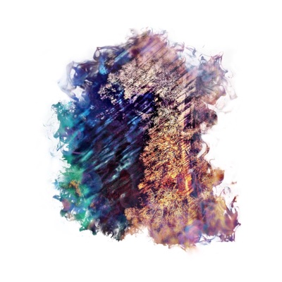 Come Down - Single