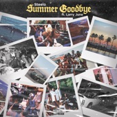 Summer Goodbye (feat. Larry June) artwork