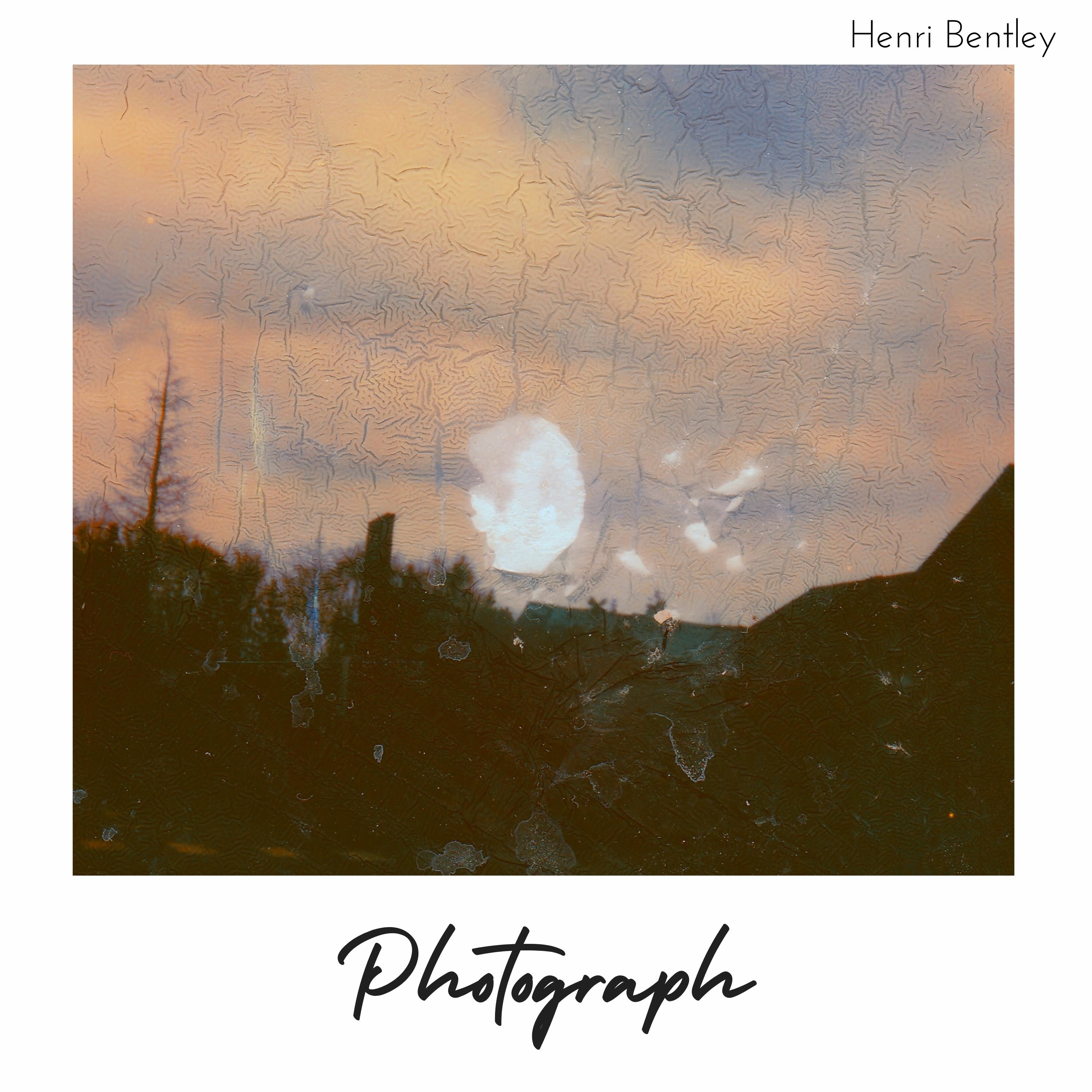 Photograph - Single