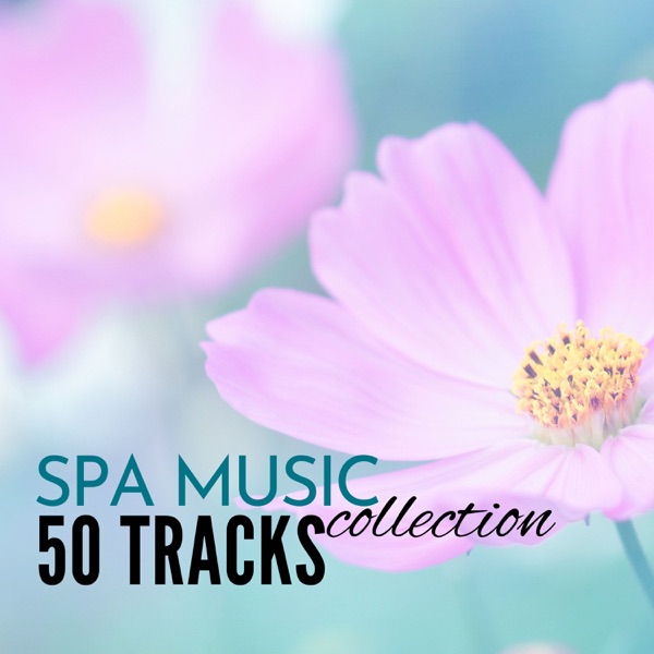 Spa Music Collection - 50 Tracks of Soothing Sounds of Nature for Wellness Centers and Hotel Lounge