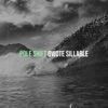 Pole Shift - Single