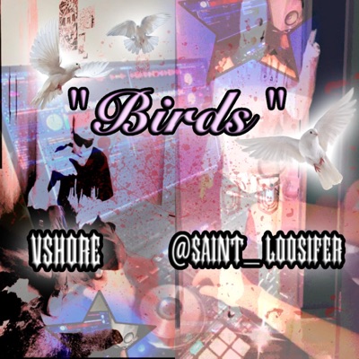 BIRDS (feat. VSHORE) - Single