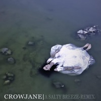 A Salty Breeze (Remix) - Single - Crowjane