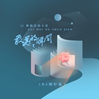 最美的瞬间 (DJ翊轩版) - Single - A small flower playing cotton