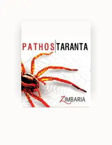 Escucha a Zimbaria, mira videos musicales, lee su biografía, consulta las fechas de las gira y más.