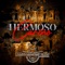 Hermoso Cariño - Banda Rancho Viejo de Julio Arámburo lyrics