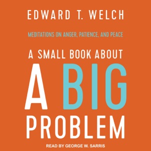 A Small Book about a Big Problem : Meditations on Anger, Patience, and Peace