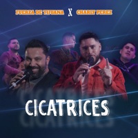 Cicatrices - Single - Fuerza de Tijuana & Charly Pérez