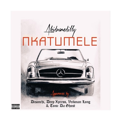 Nkatumele (feat. Disanchi, Deep Xpress, Veikman Long & Tonic Da Ghost) - Single