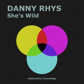 She's Wild (Extended Mix) Danny Rhys