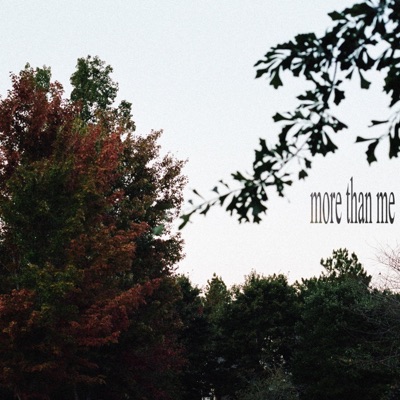 More Than Me - Single